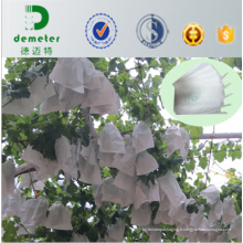 Insect &amp; Chemical Prevention Sacs de culture de pépinière de raisin de papier glacé d&#39;Apery de papier pour exporter au Chili